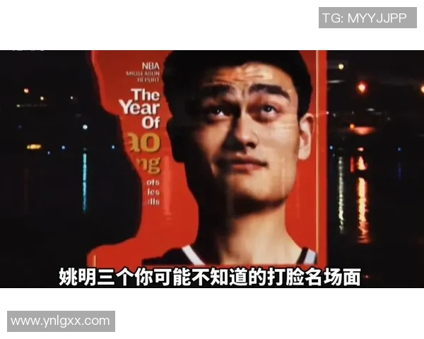 姚明脸纹背后的故事与人生哲学探讨