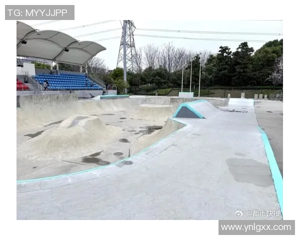 杭州滑板队的速度与技巧探秘滑板运动的魅力与挑战