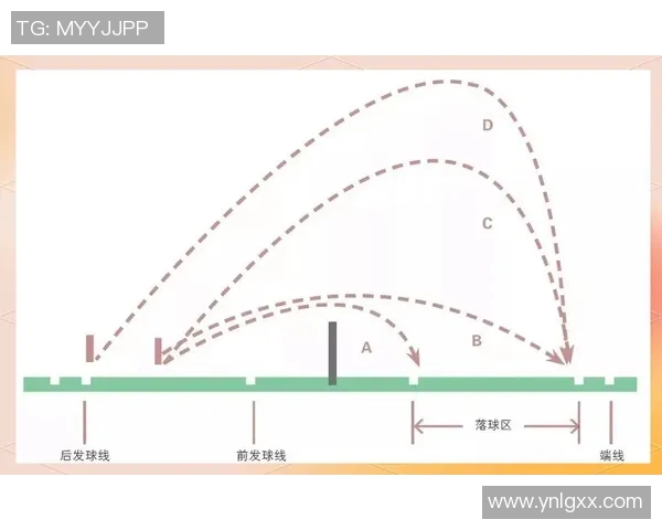 杨强独家分享羽毛球技巧与心得助你提升球技的全面指南